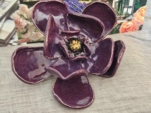 Blomma, 300 kr